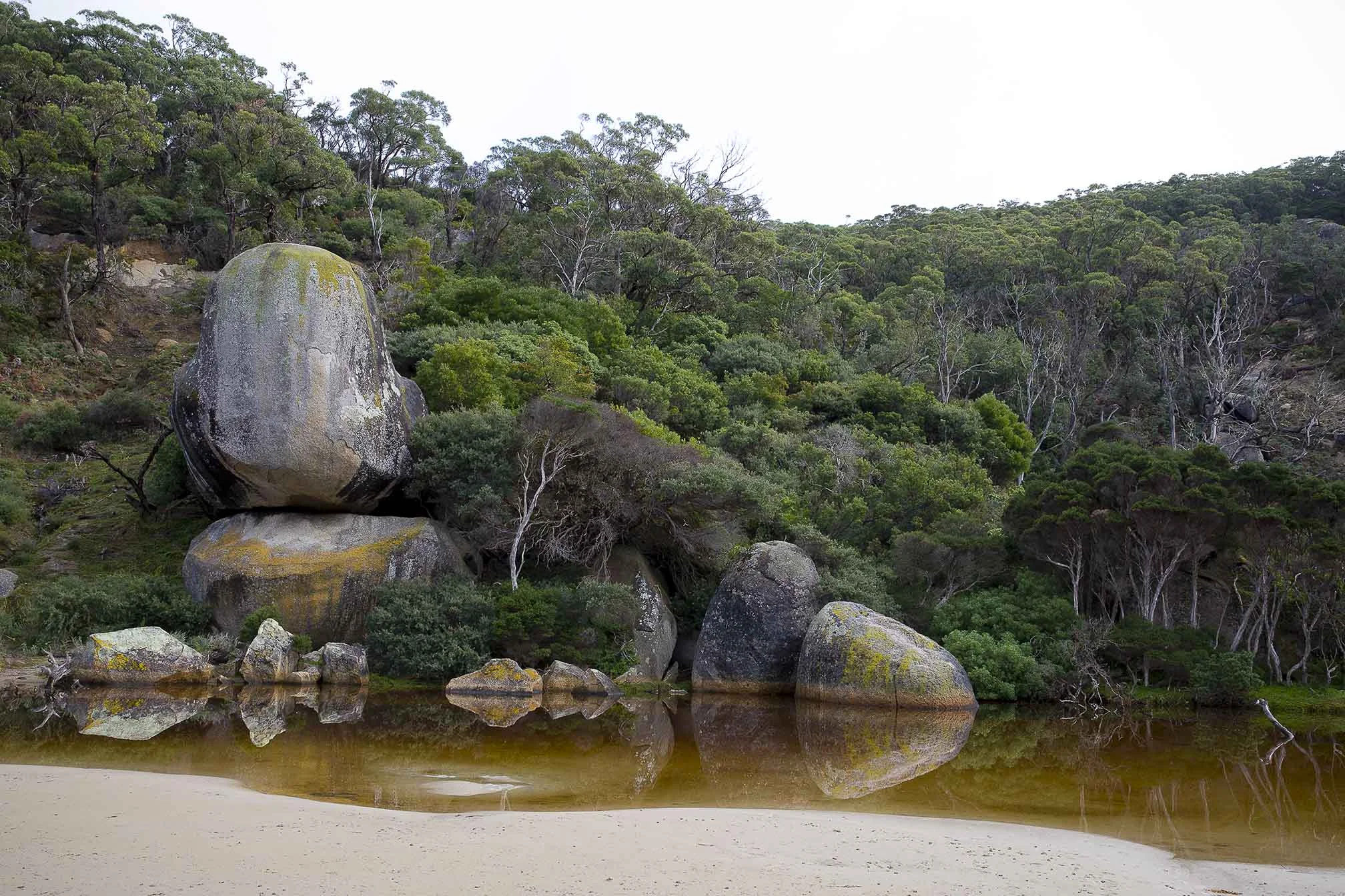 Whale Rock. Wilsons Prom. 
