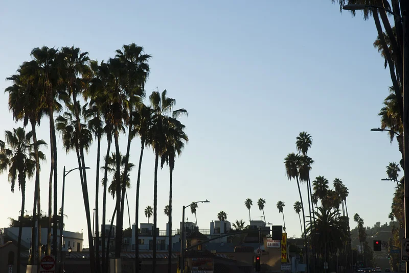 hollywoodblvd
