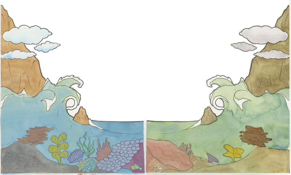 Environment