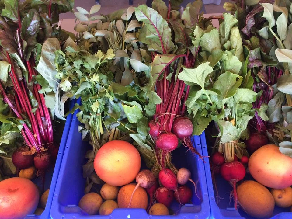 Photo courtesy of The Growing Experience