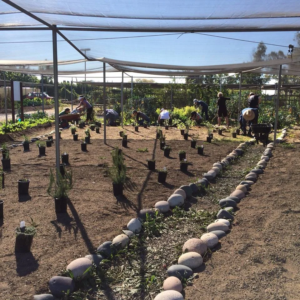 Photo courtesy of The Growing Experience