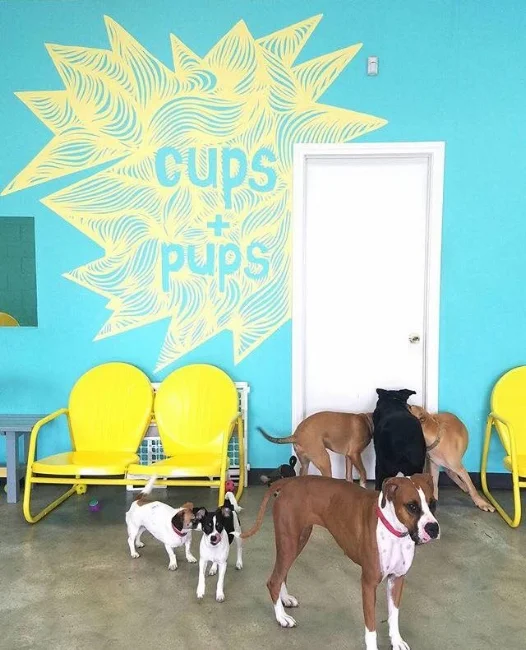 dogcafe1page.jpg