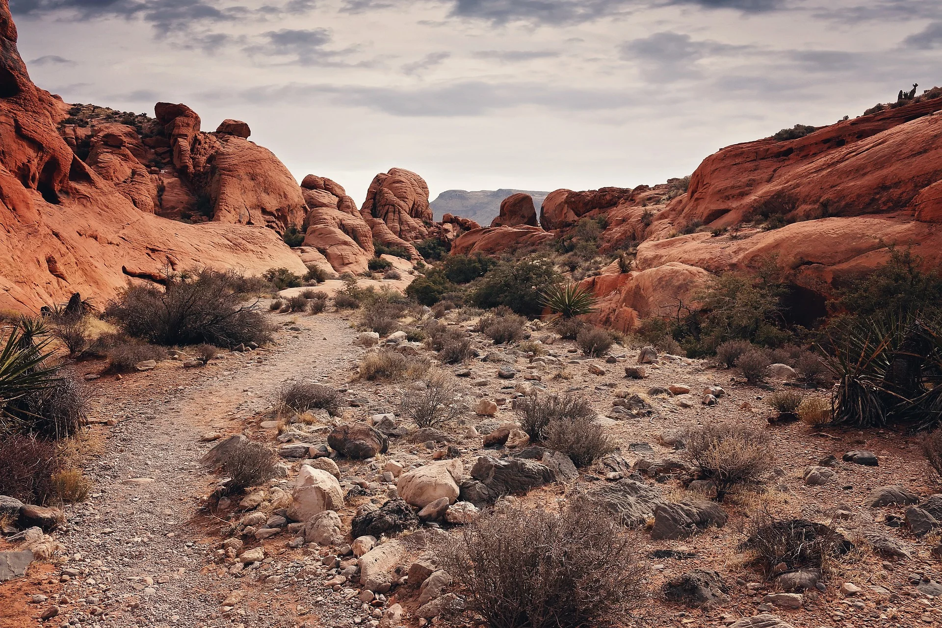 red-rock-canyon-3066430_1920.jpg