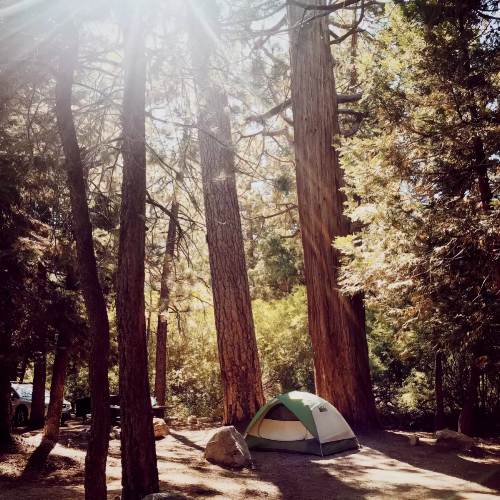 Photo courtesy of TripAdvisor.com