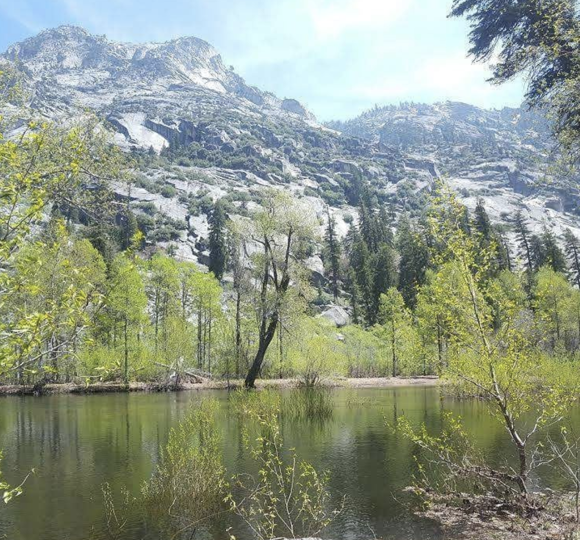 Resting just past Mist Falls lies Paradise Valley, one of the many gems located within the park. Photo Cred: NPS (National Parks Service)