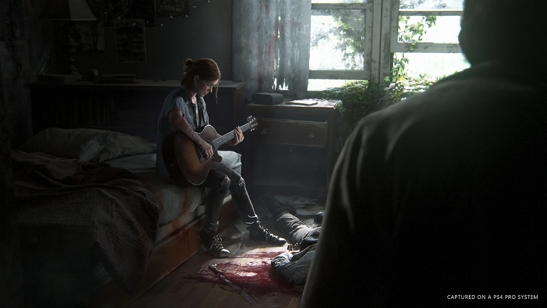 Photo from The Last of Us Part II website