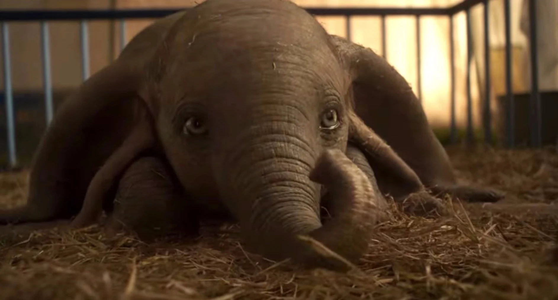 dumbo-trailer-1542265731.jpg
