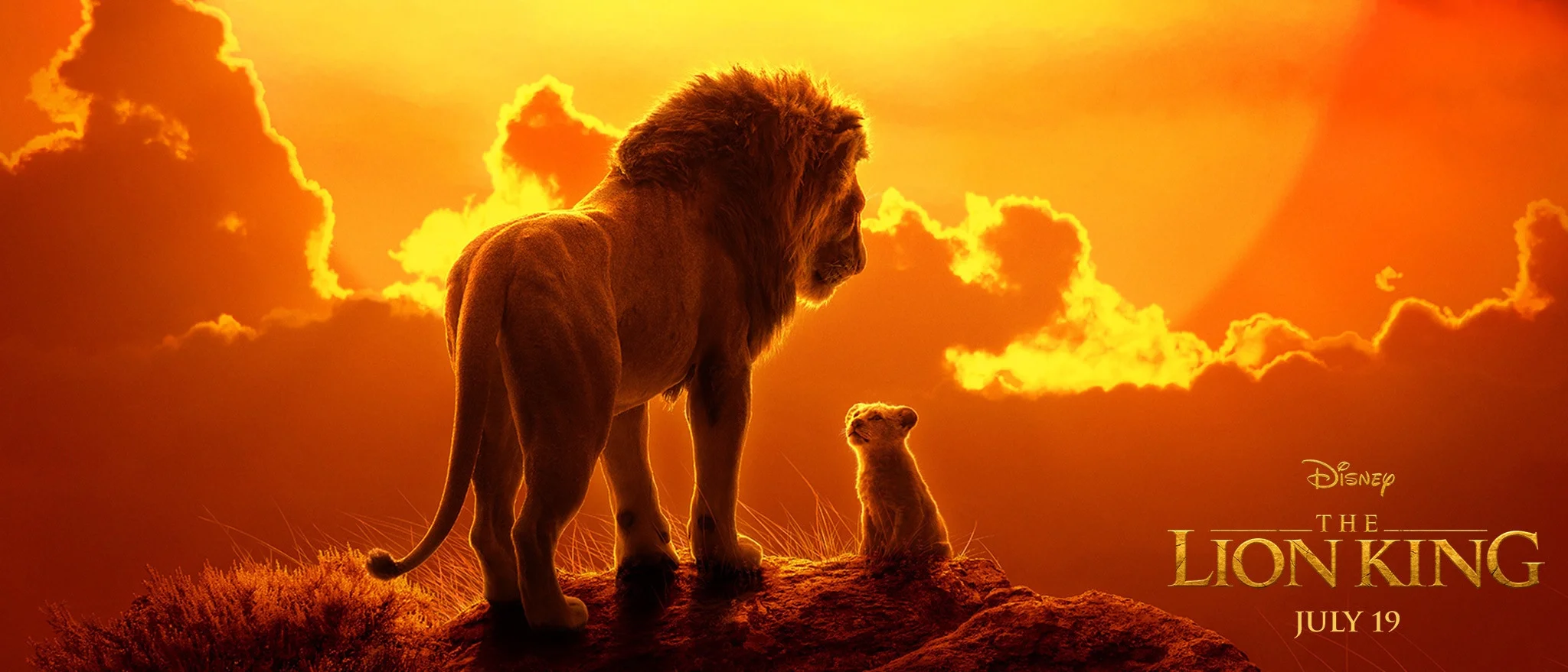 r_thelionking2019_payoff_ddt-17464_a7c9d80b.jpg