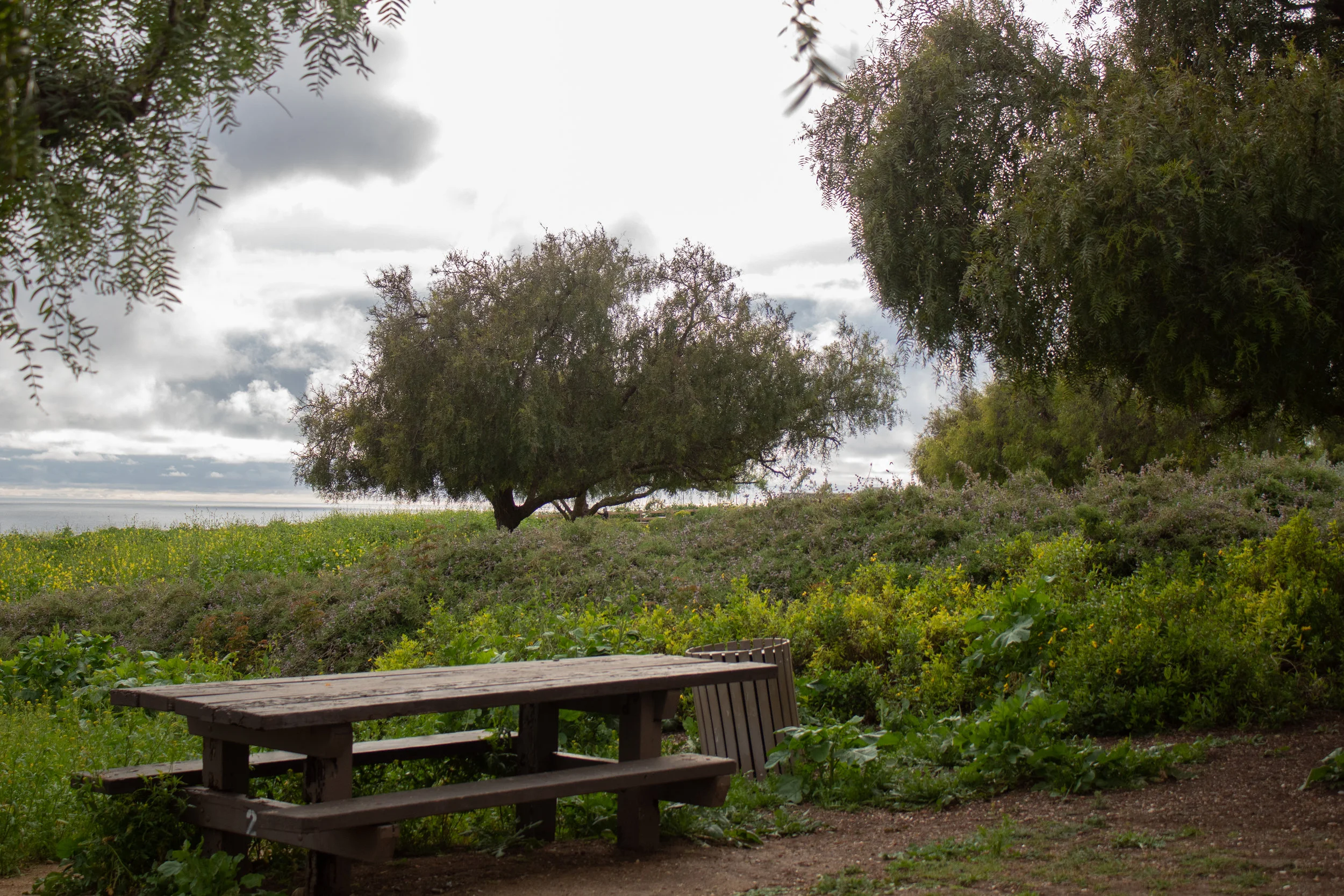 NatureIsCalling_Picnic.jpg
