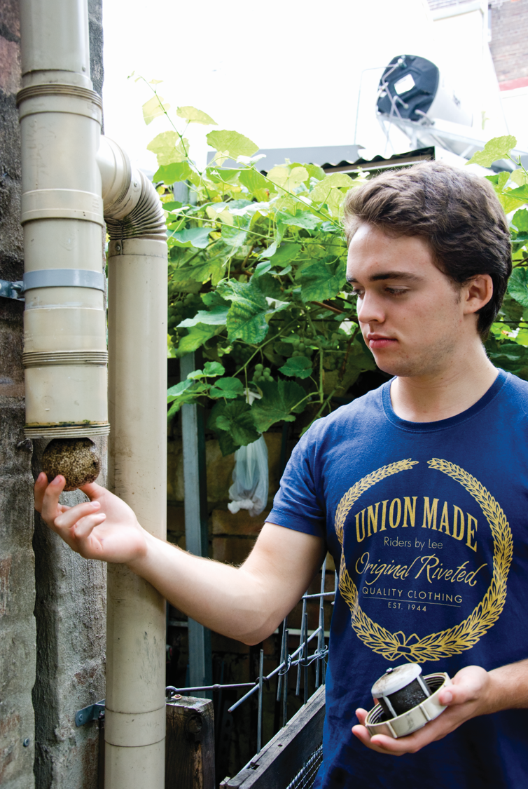 My son Julian and the first-flush diverter; the polystyrene ball is easily removed for cleaning.