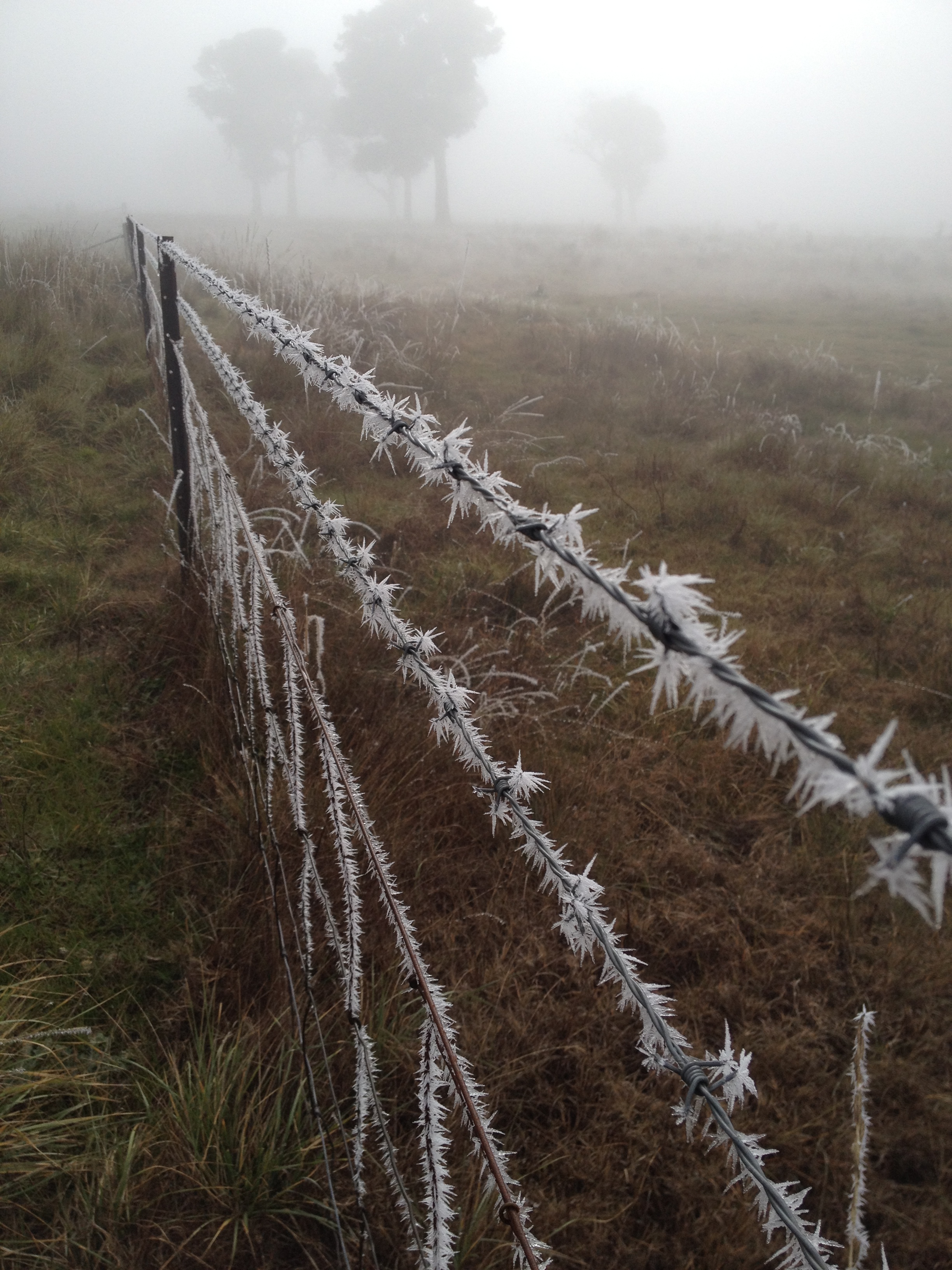 Cost to build and own Gundaroo off-grid house