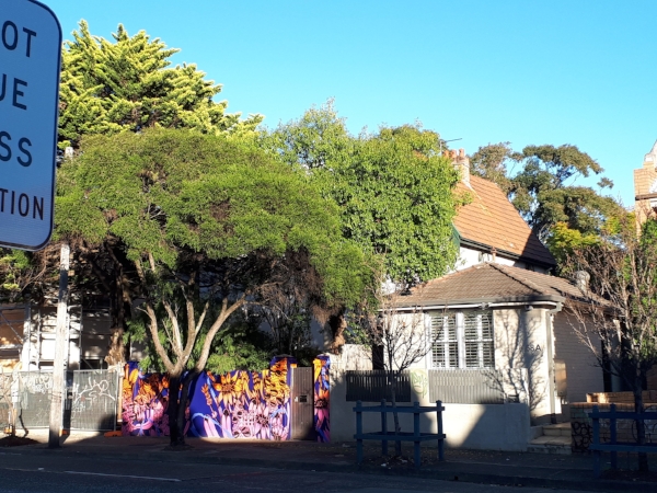 • During the course Fiona's local council arranged and paid for a street artist to paint her wall - do the Low Bills Course and magic happens.
