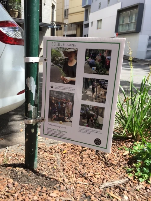 • We will see urban farming in Chippendale's road gardens