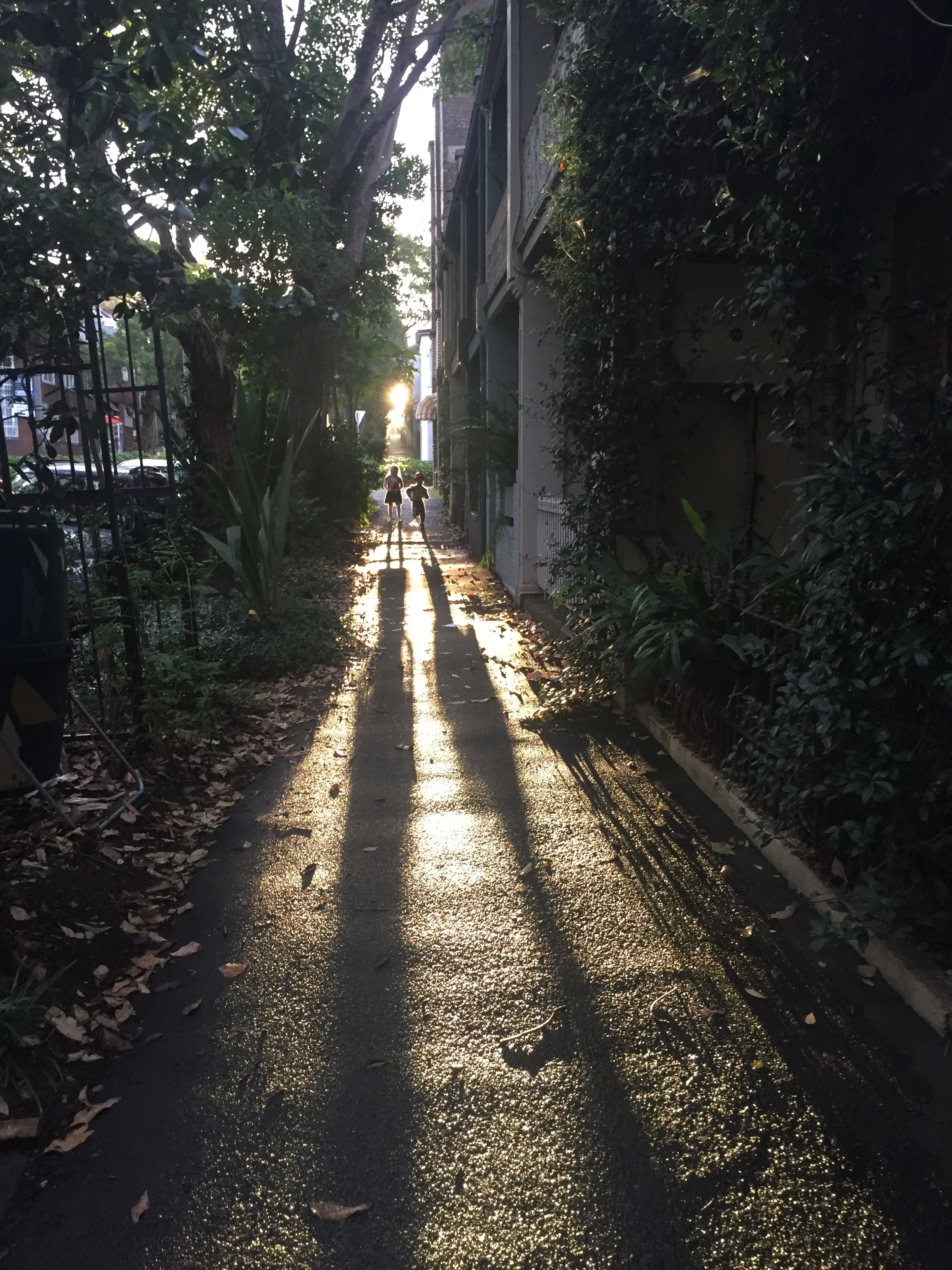 Low Bills Living Course 23 June . . . 