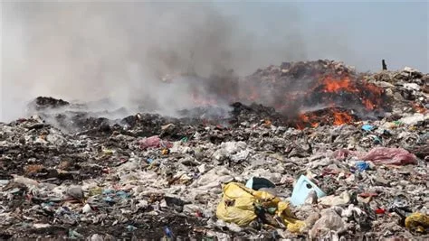 How to solve Australia's waste crisis