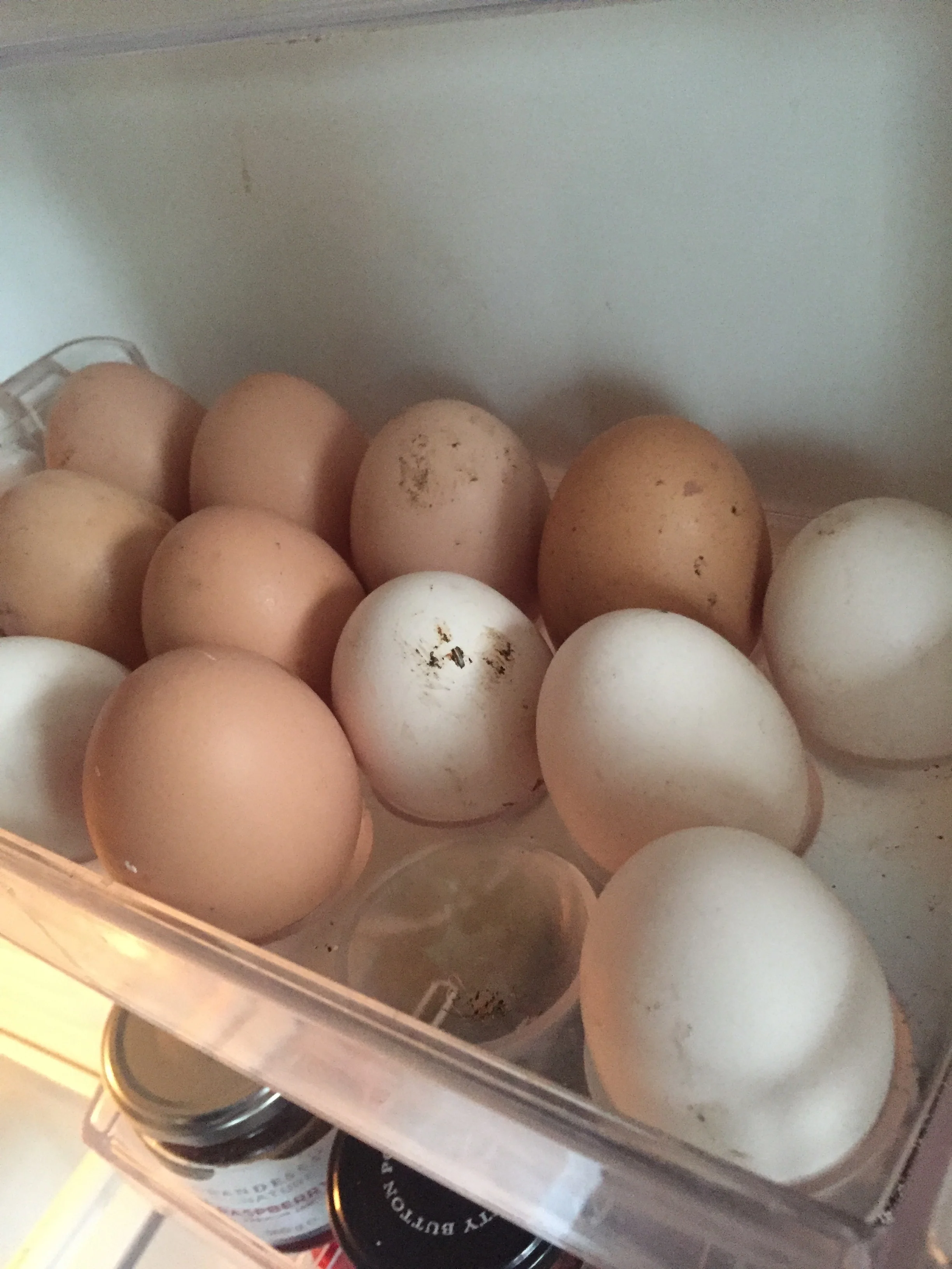 • My chook eggs