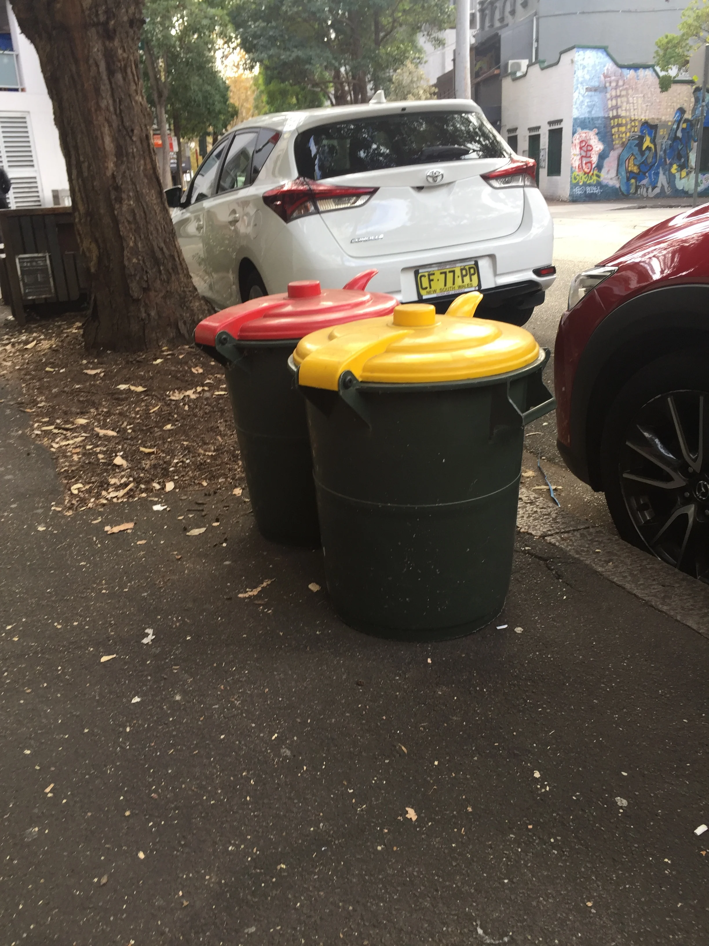 • Small, 50 Litre bins on a Chippendale street