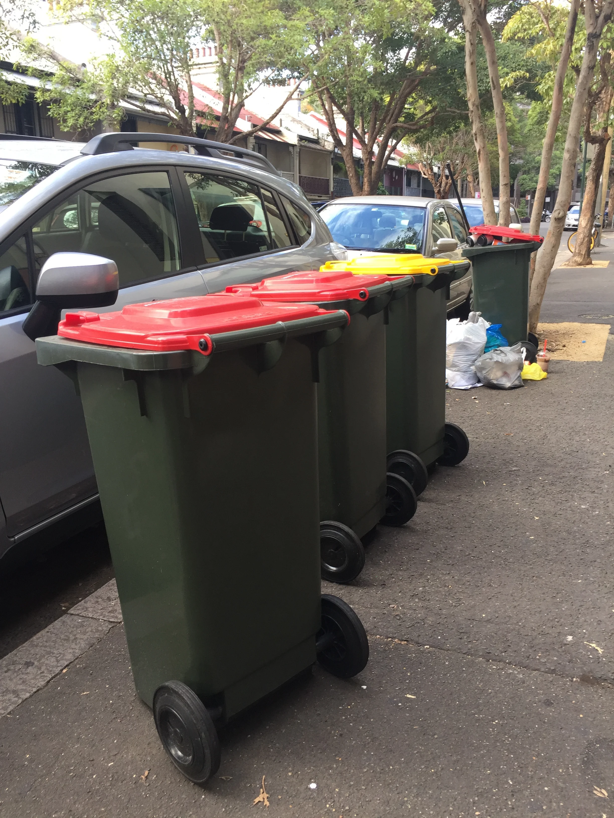 • Larger, 120 litre bins and, in the distance, an over-flowing bin in Chippendale street