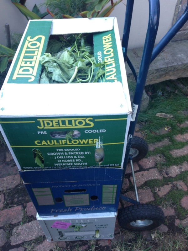 •  Three boxes of food waste to be trolleyed to the Erskineville community garden