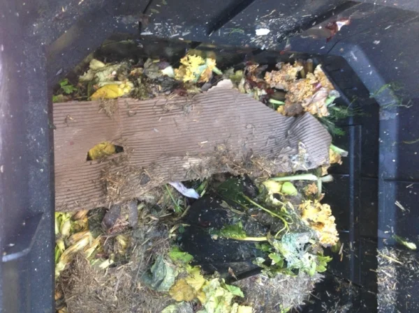 •  Composting food waste and cardboard