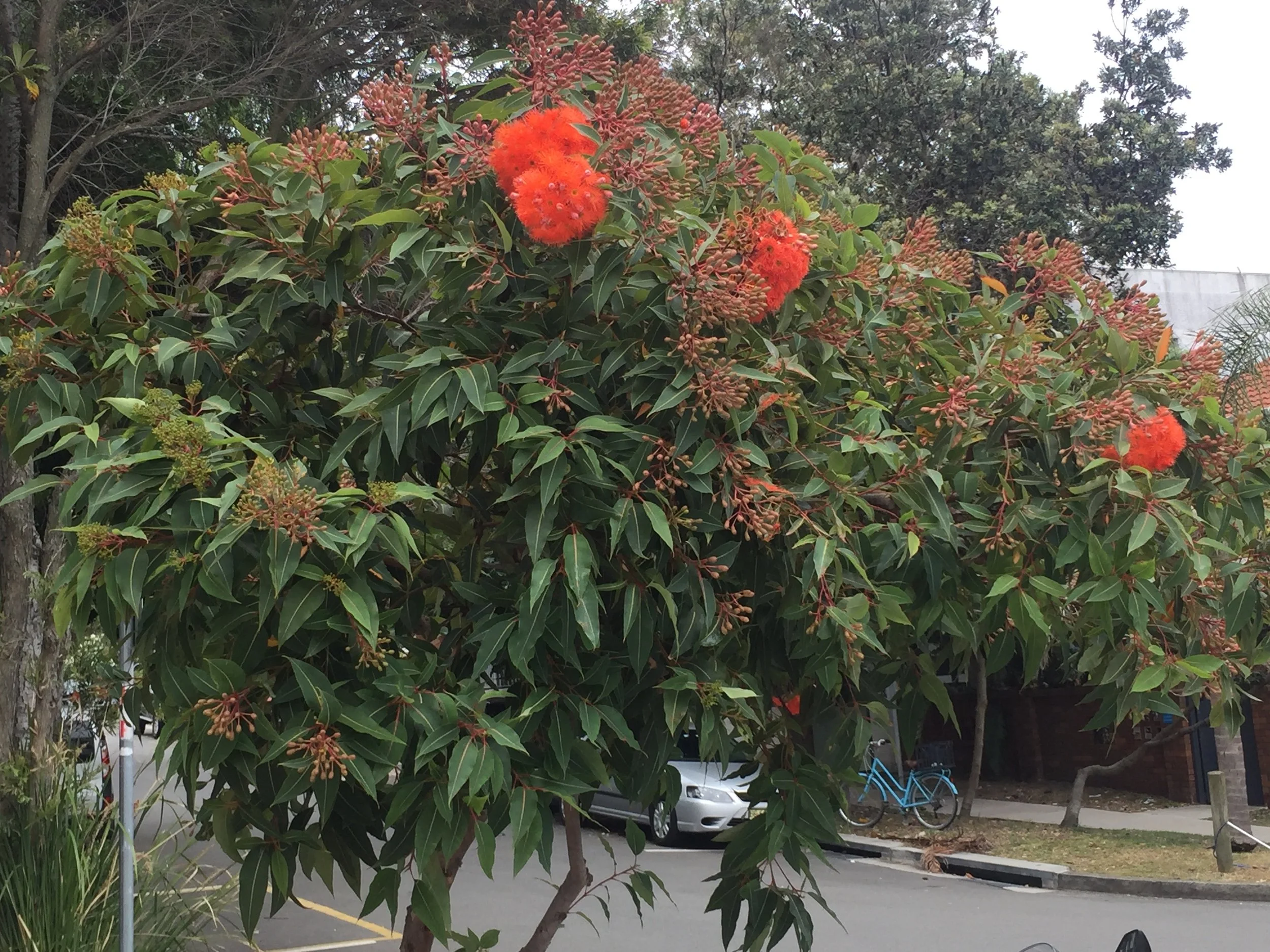 Beauty or Earth?  We can have buildings and cities which offer both