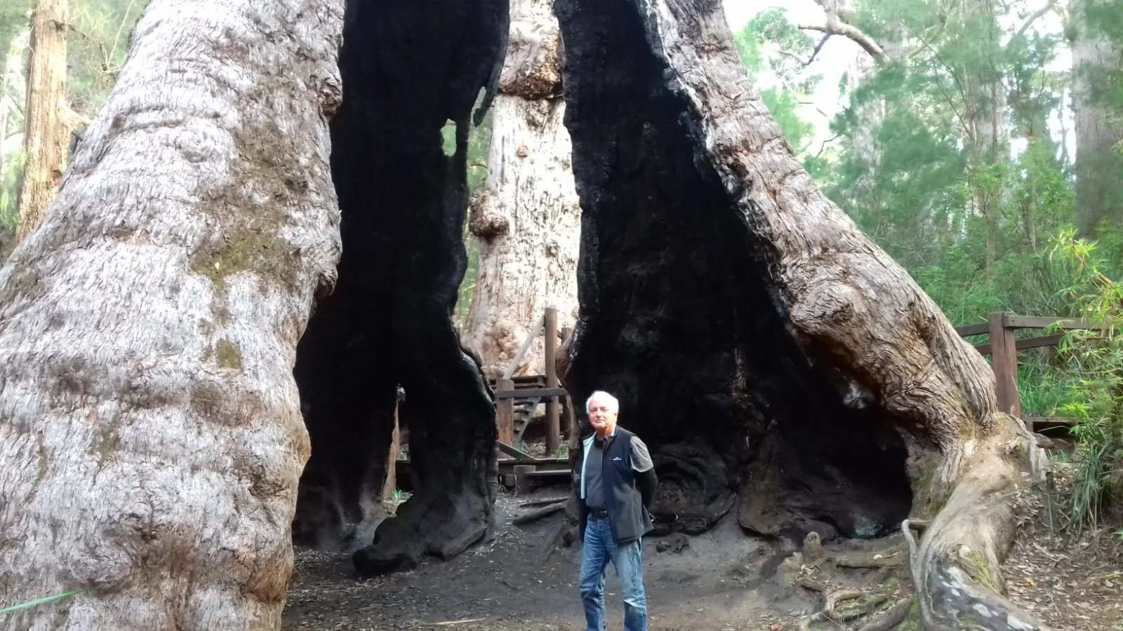 Wow! The wonder, beauty and cost savings of turning food into soil into plants, trees