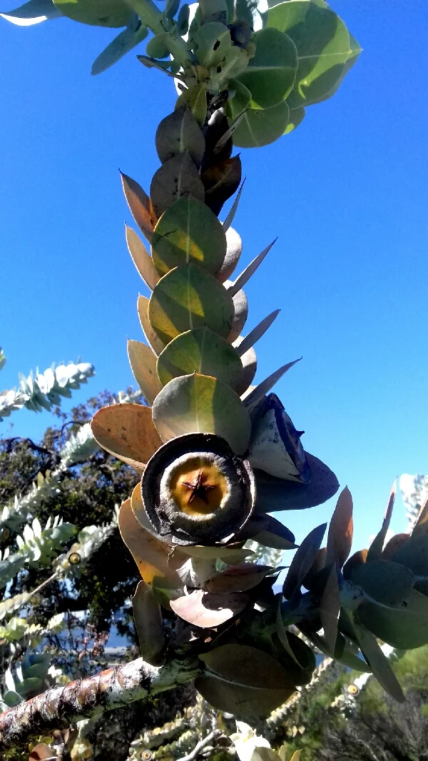 “I want to be off-grid but I’m not sure where to start in the planning. &nbsp;Any ideas?"