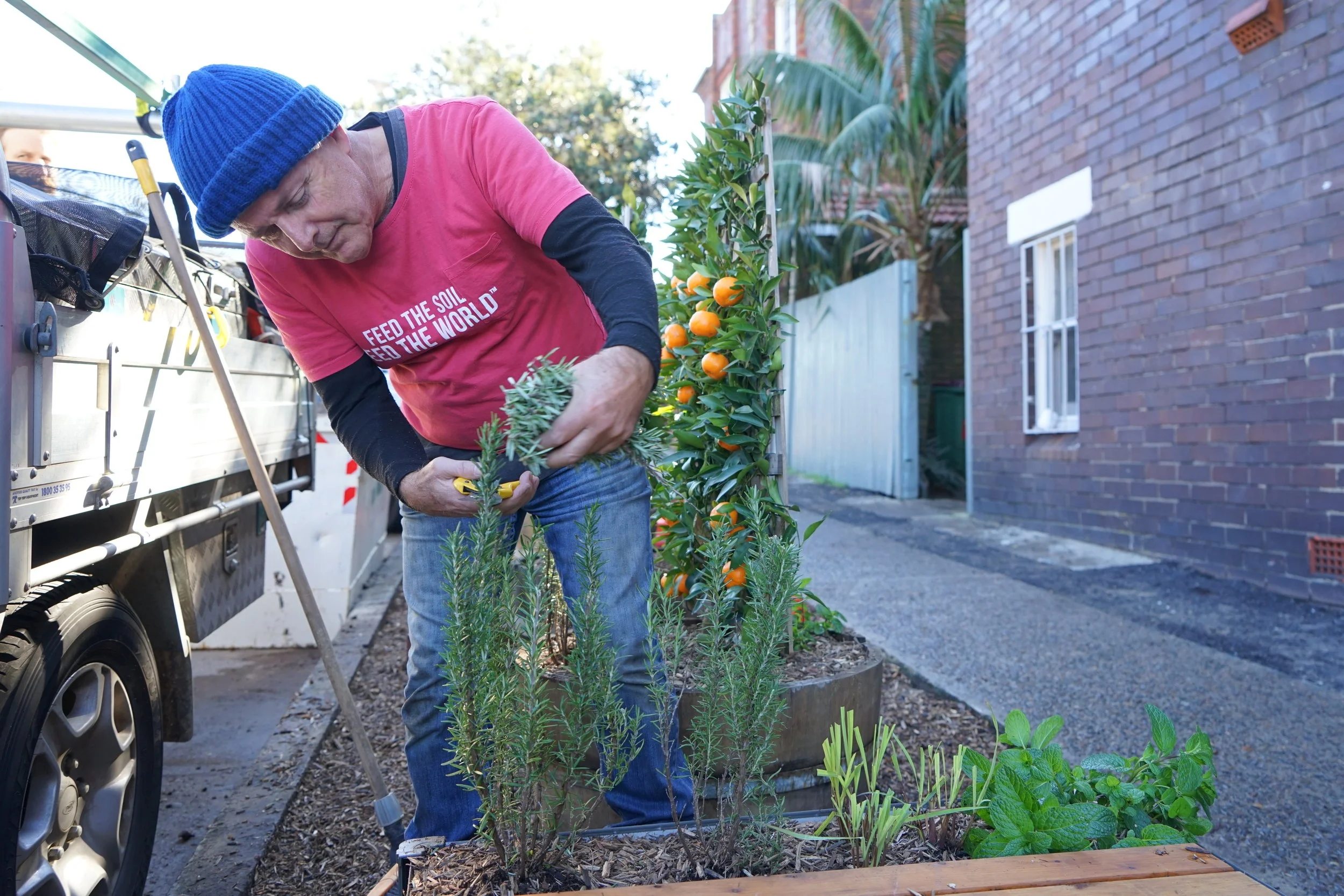 Make a more natural nature strip