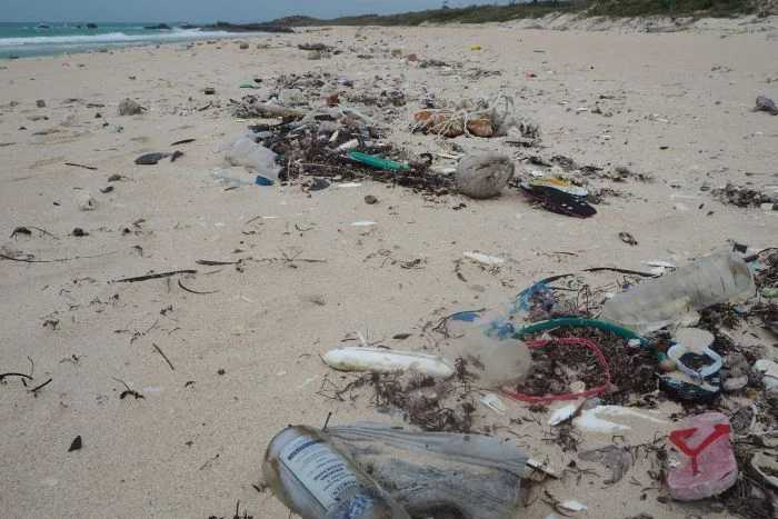 • Amazingly awful plastic from us, we humans