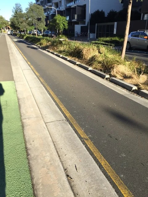• By draining water from buildings to footpaths, to bicycle paths to roads and then, finally, to cuttings in kerbs we can direct rain water direct to the trees and vegetation which needs that water to grow. This abundant and healthy road garden shows what can be done even during two years of drought in inner Sydney, NSW.