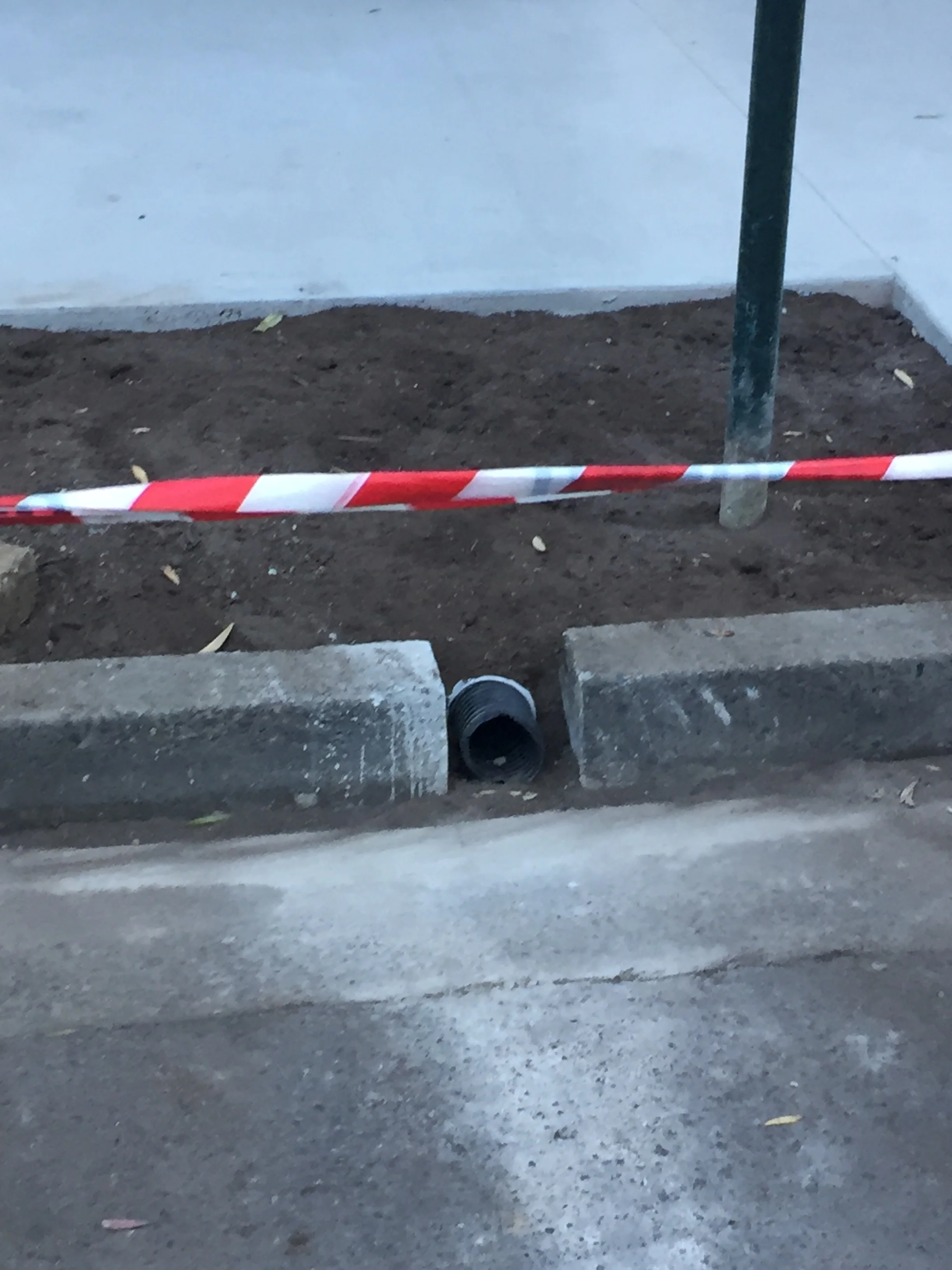 • Sydney City Council is installing leaky drains this week in Pine Street, Chippendale - see the leaky pipe in the photo? Later today concrete will put placed over the top of the pipe to keep the garden soil there.
