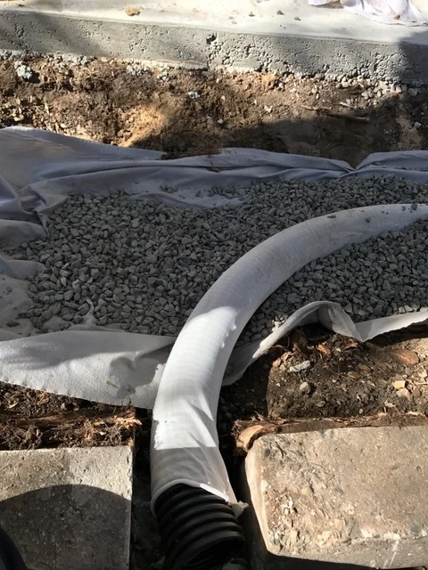 Sydney Council and Chippendale community keep rain water where it falls