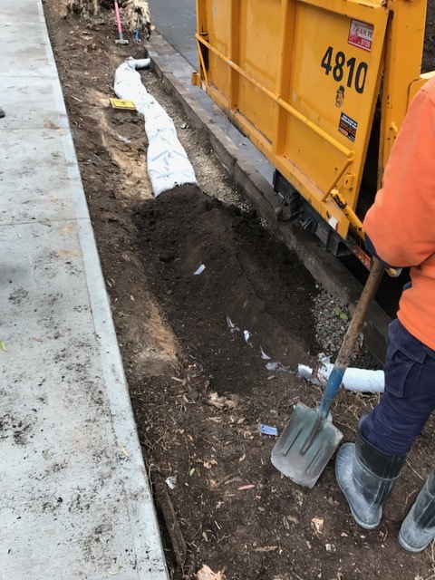 • Soil being placed over the leaky pipe. Good work being done quietly out of sight and producing healthy, well-irrigated plants and trees.
