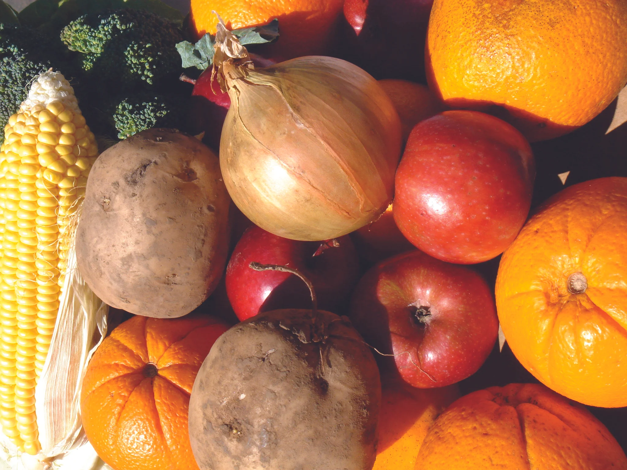 Food, glorious food . . . 