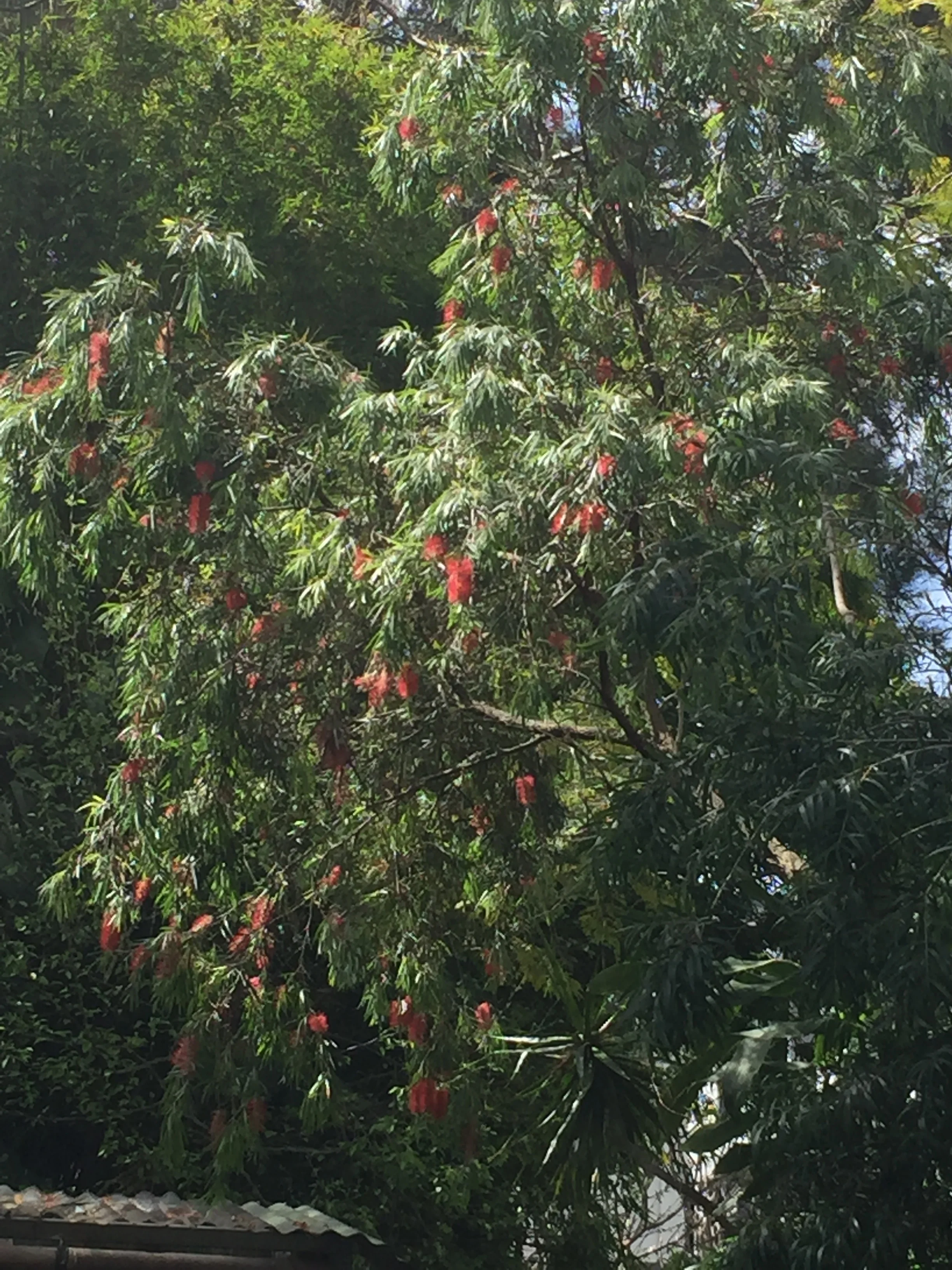 "I get the news I need on the weather report . . . "