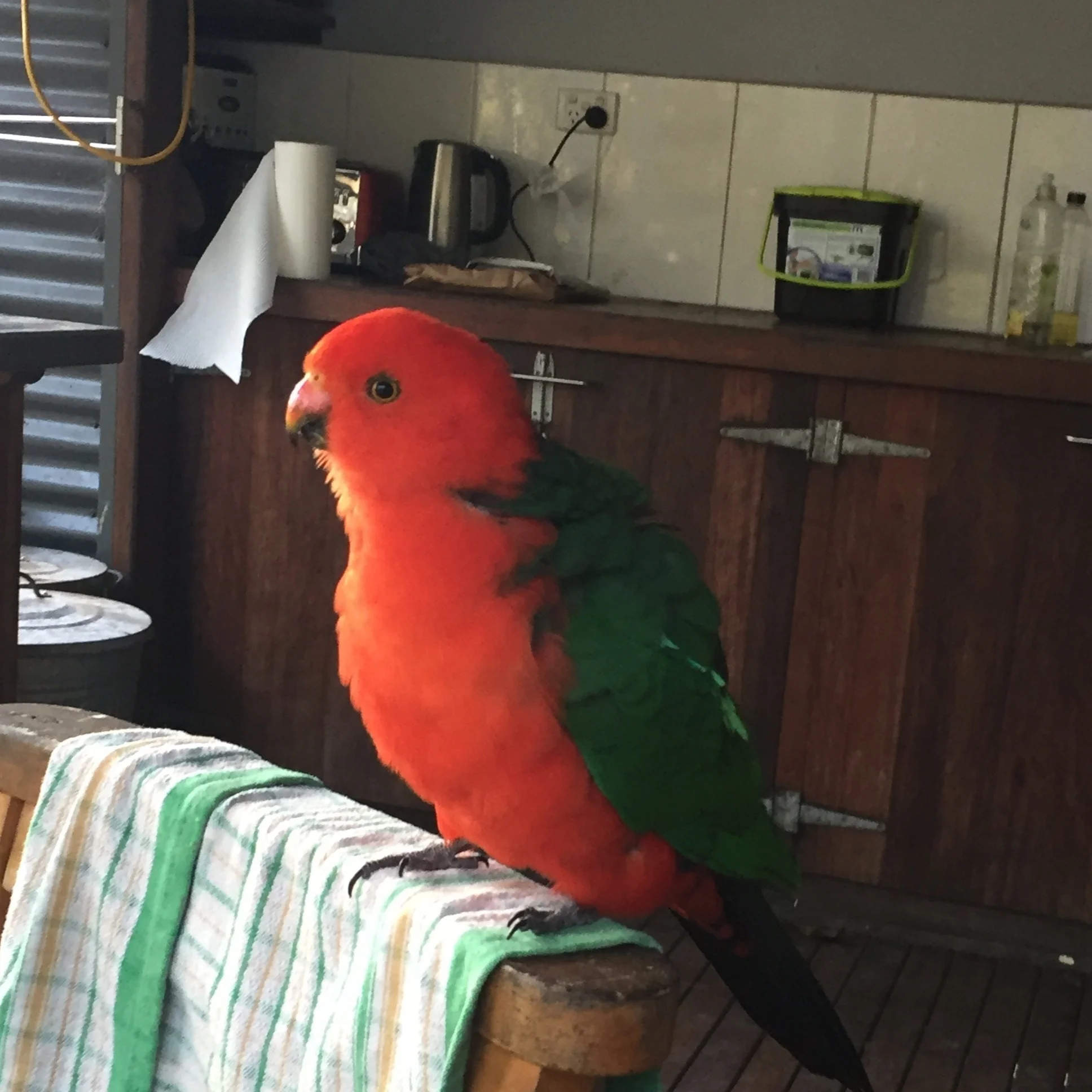 Examples of financial incentives to sustain Earth's climate