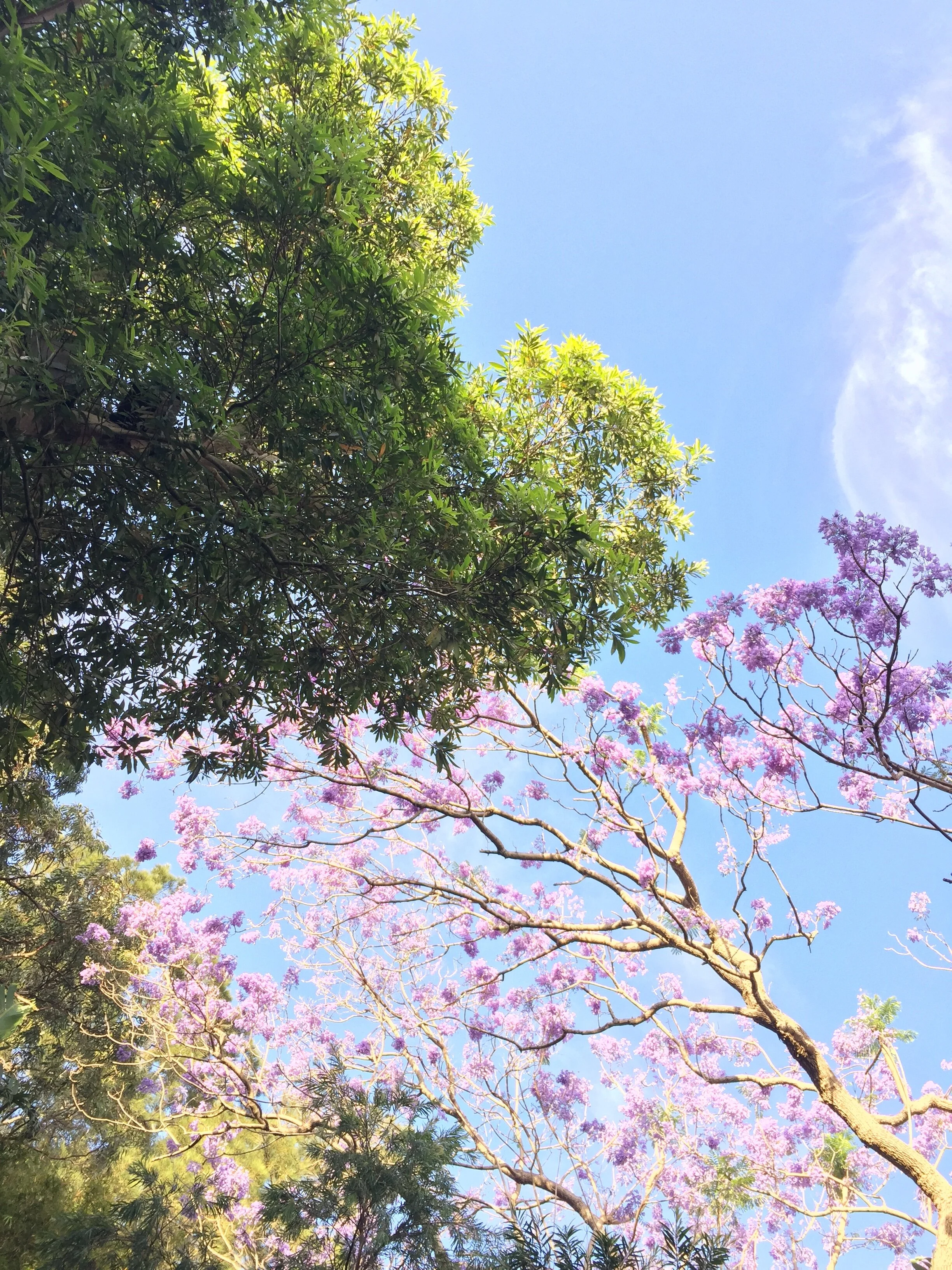 • Sometimes, we just need to look up