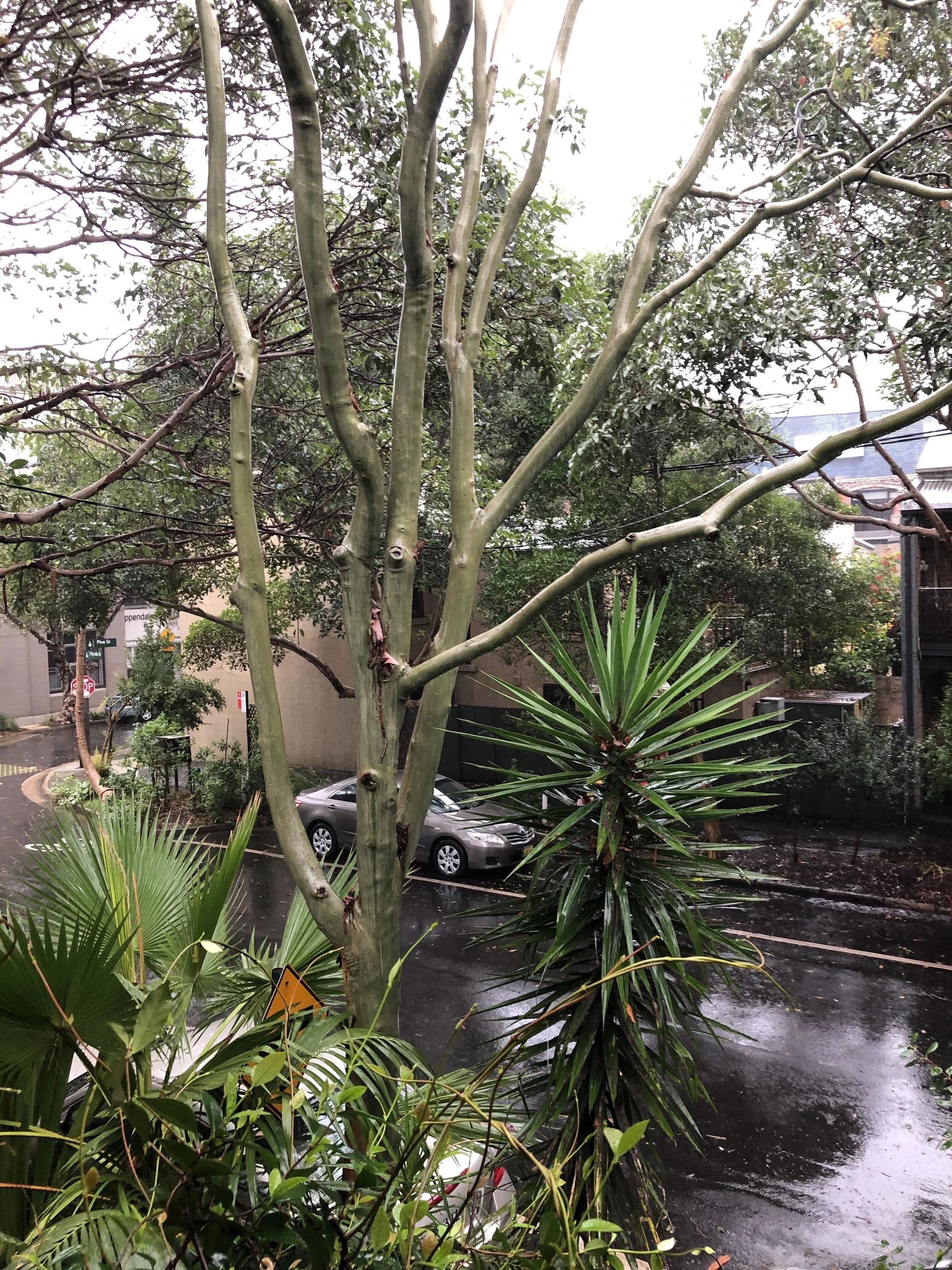 Express interest in my off grid prefabs  