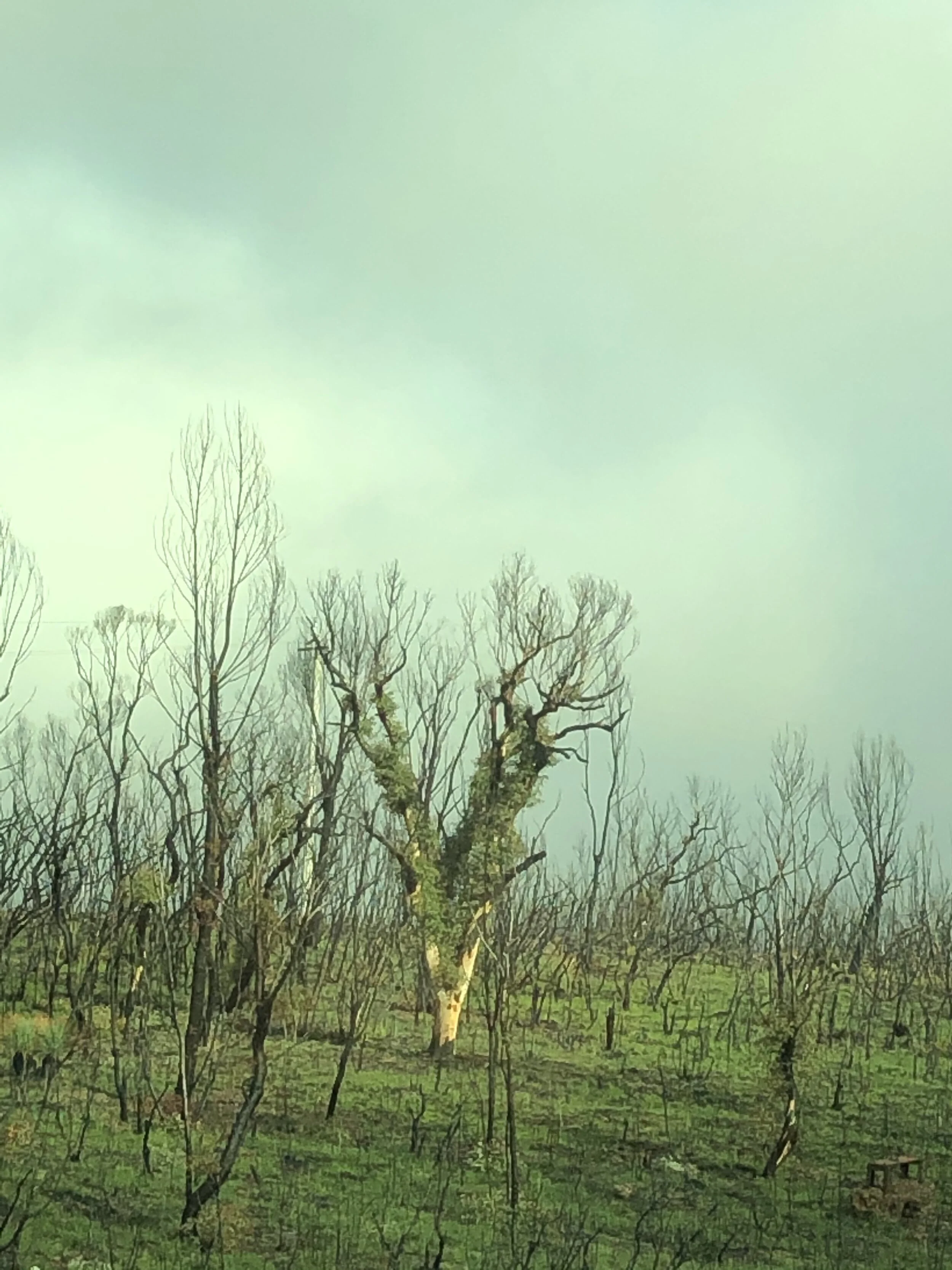 Intern(s) invited to analyse data