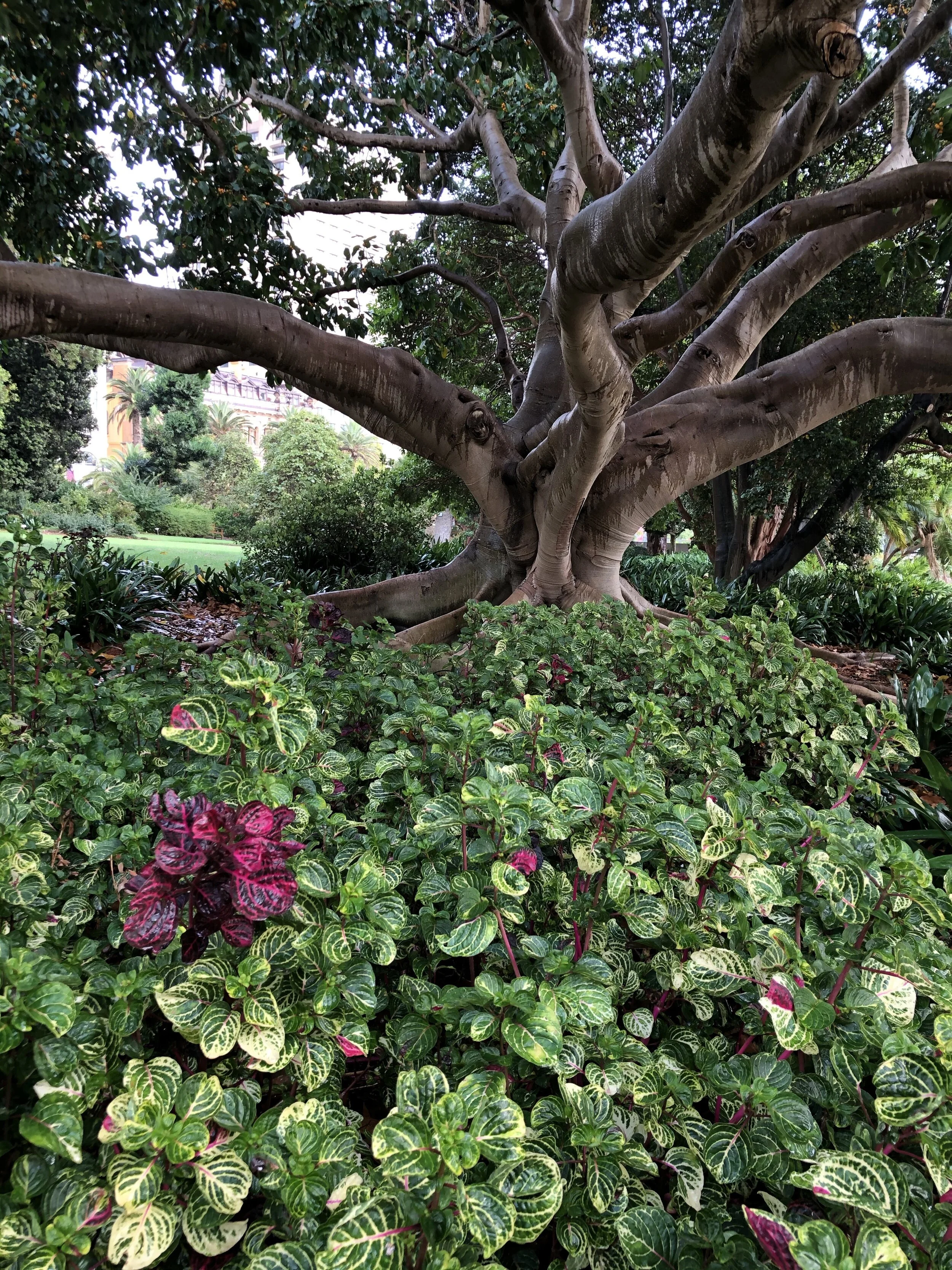 How to go off grid videos