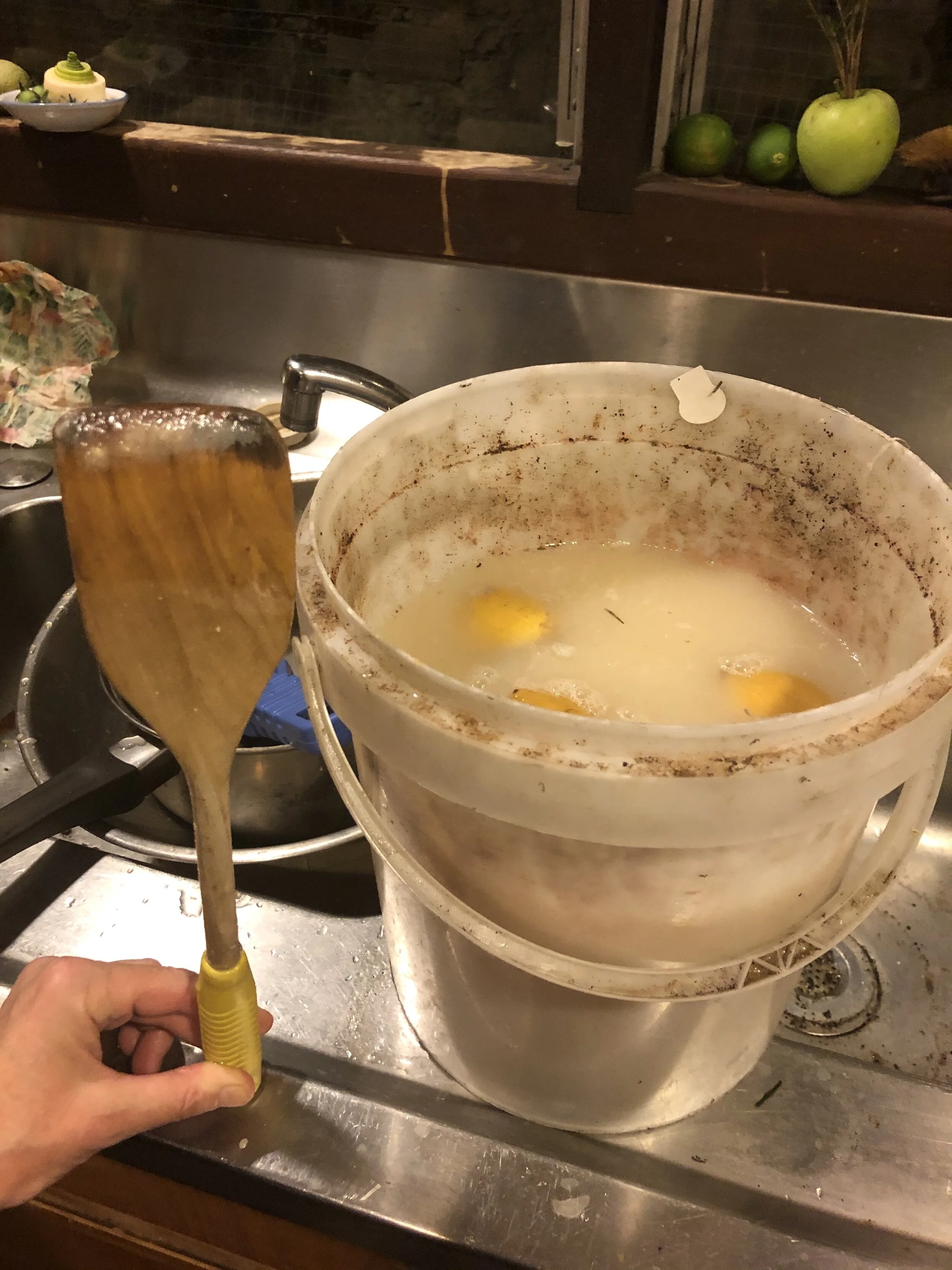 How to show love in the kitchen sink for fish in the ocean