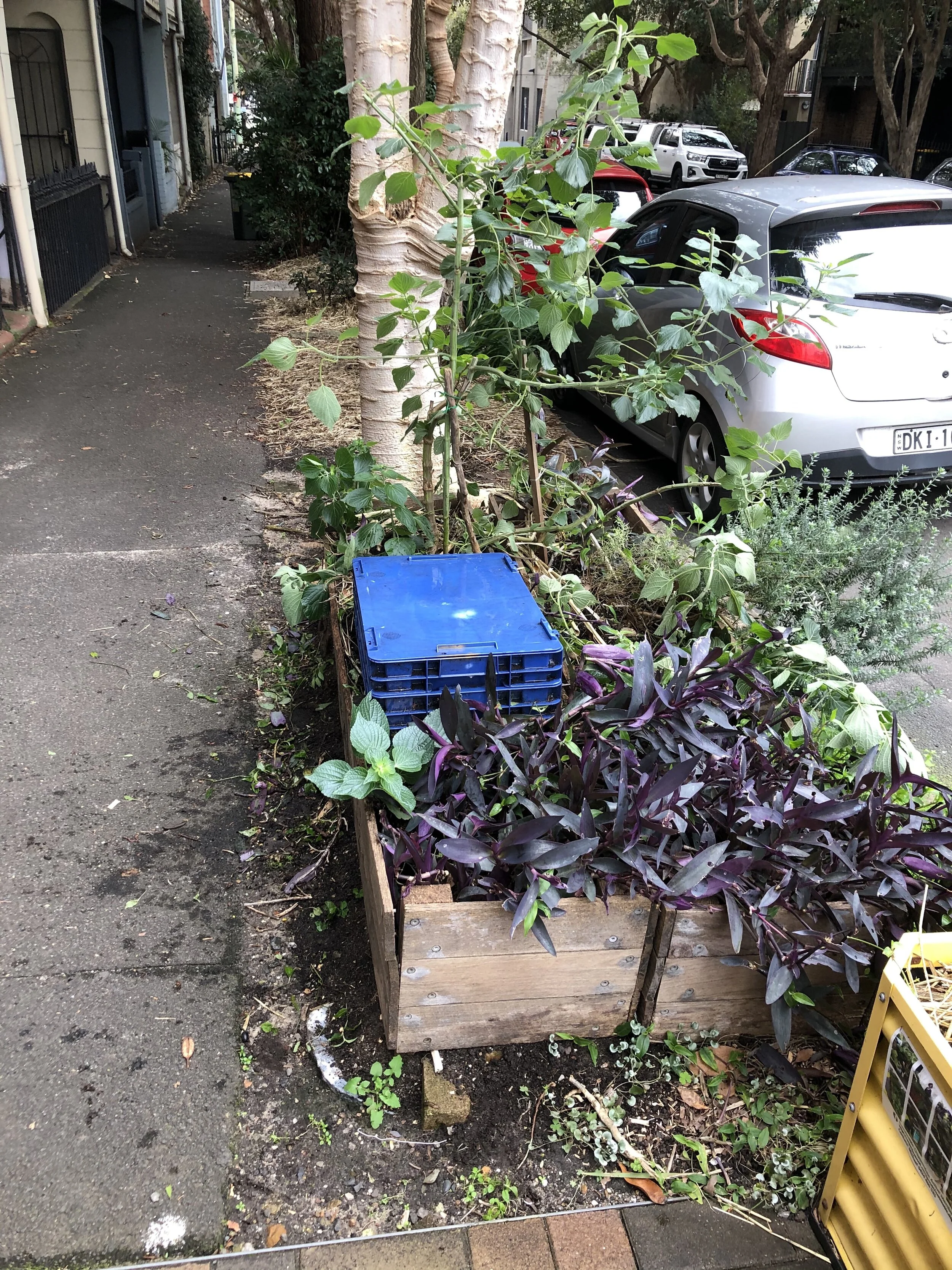 We compost over 300 kg a week in our road gardens