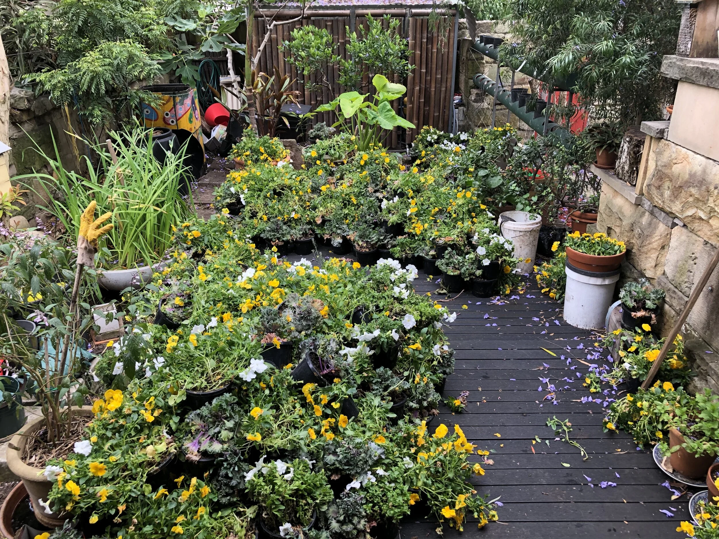 Gardening for Earth, and me