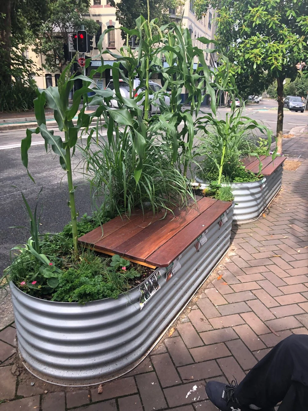 Cafe avoids, reduces other waste because it began composting