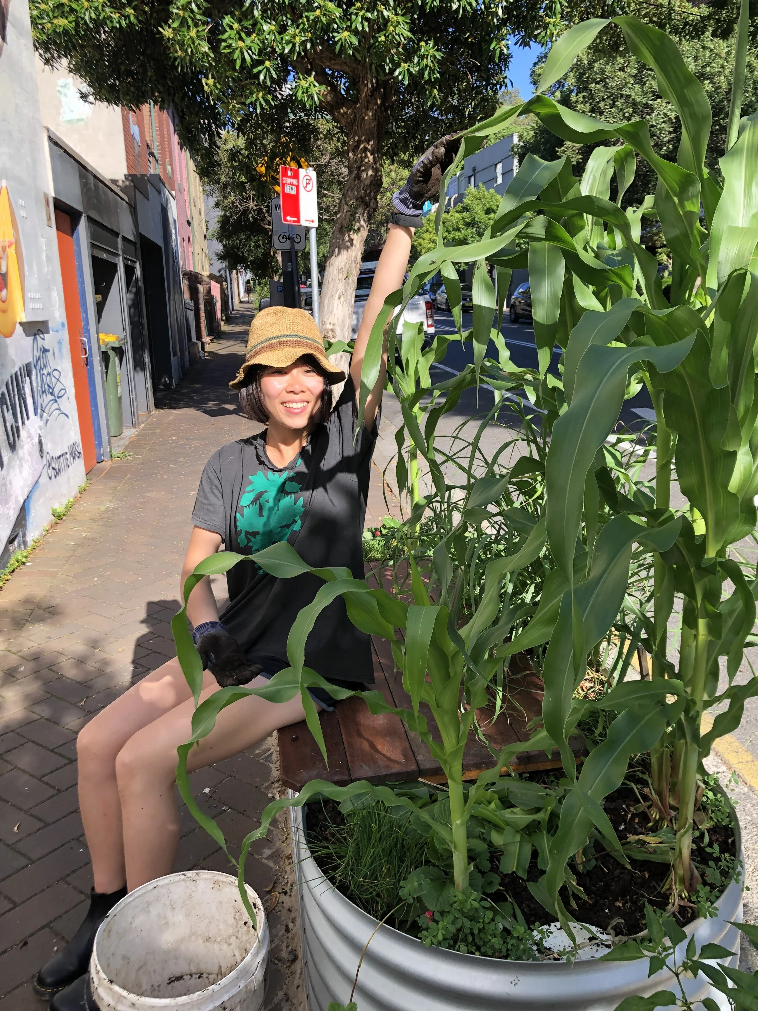 An inspiring red tape success