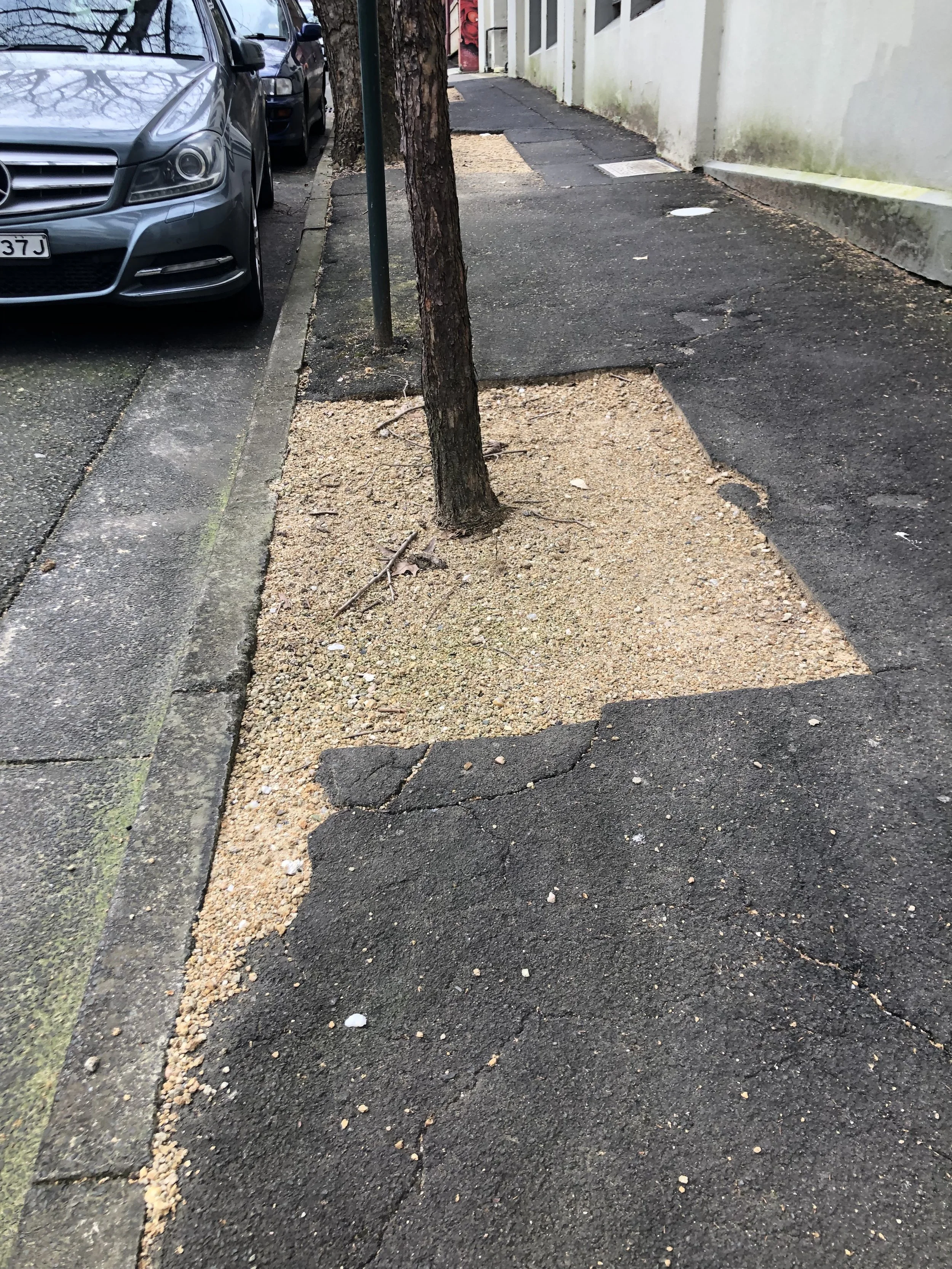 How to make city trees grow faster