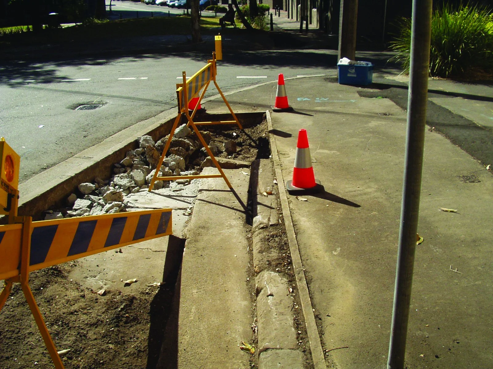 Community grows food in their roads