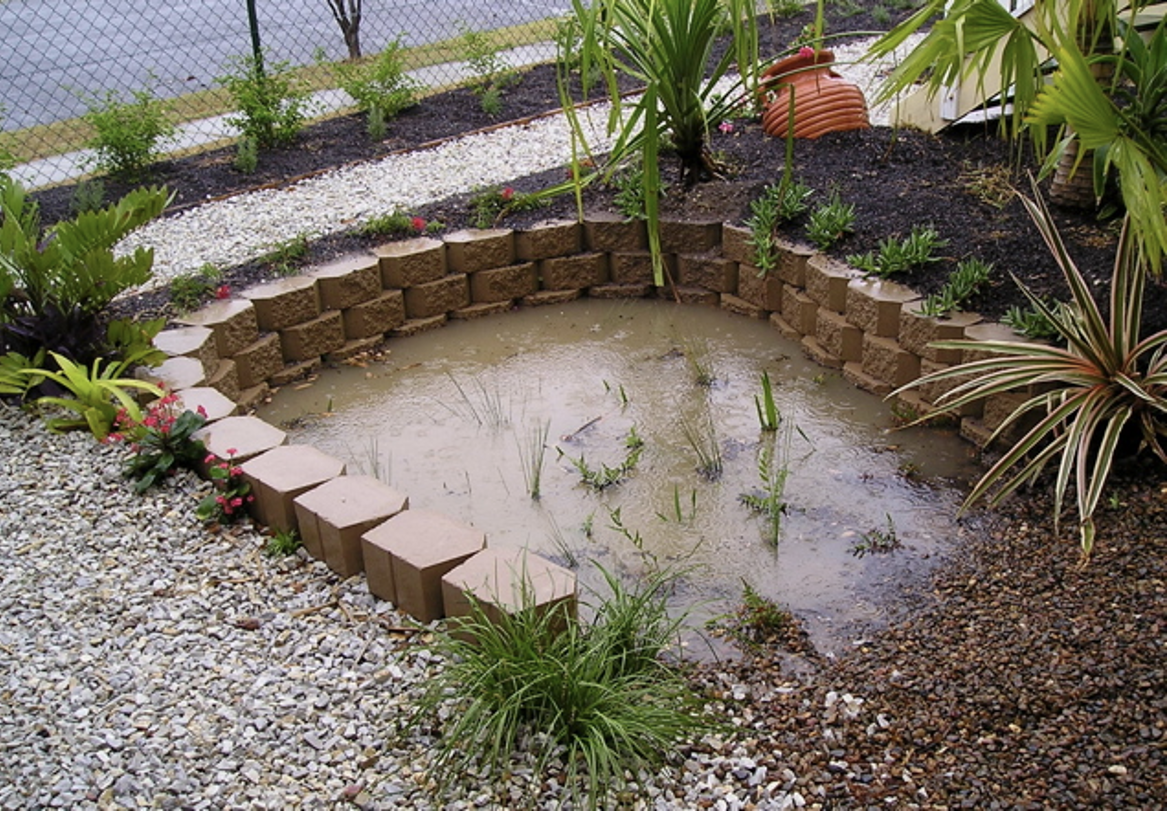 How to cool streets, cities in 2026 with raingardens