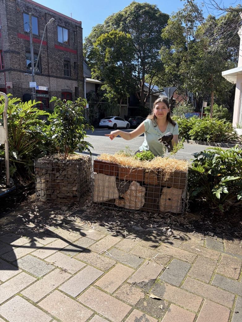 How to build a gabion footpath garden bed