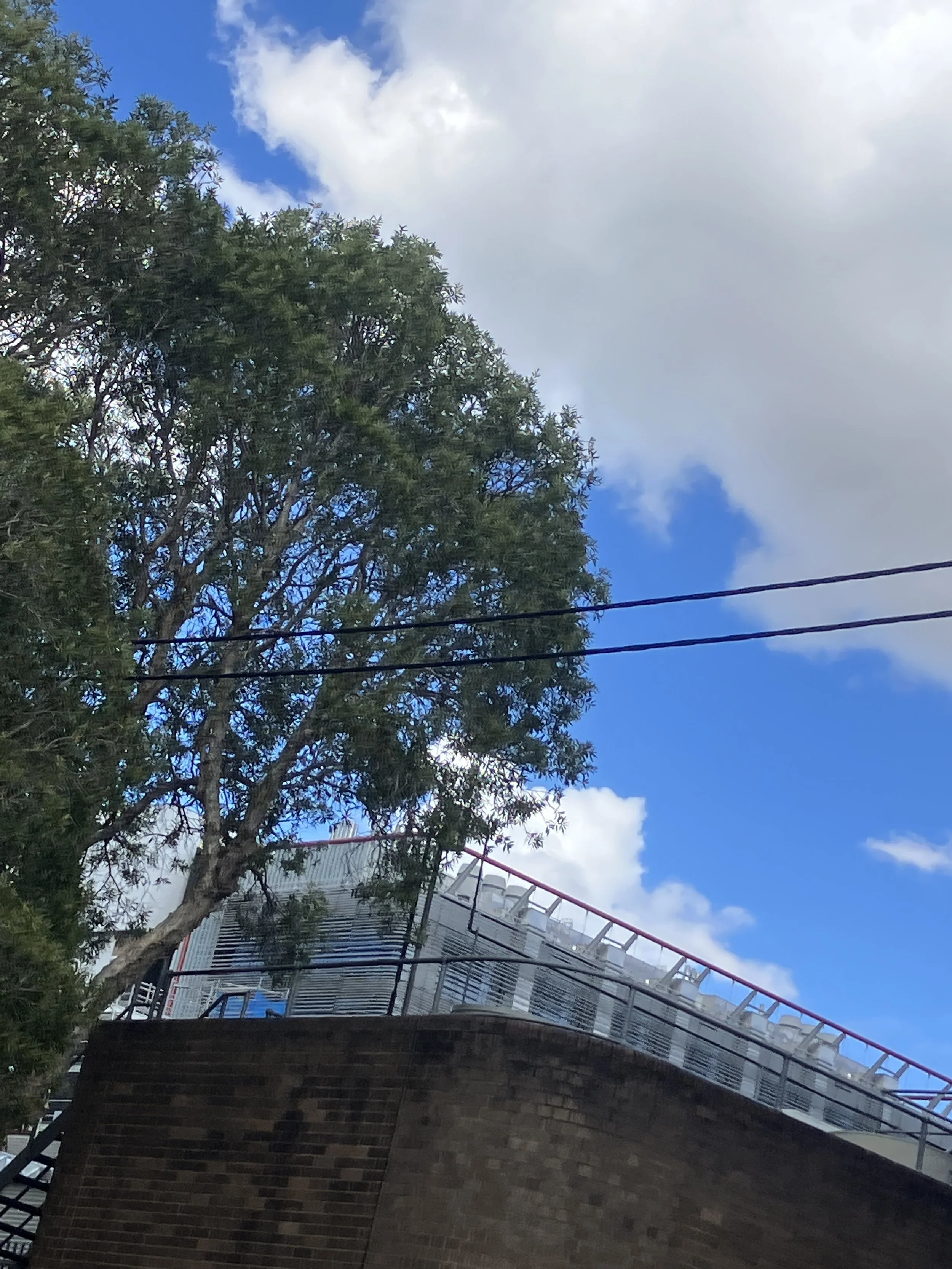 Goodness = aerial bundling of electricity wires
